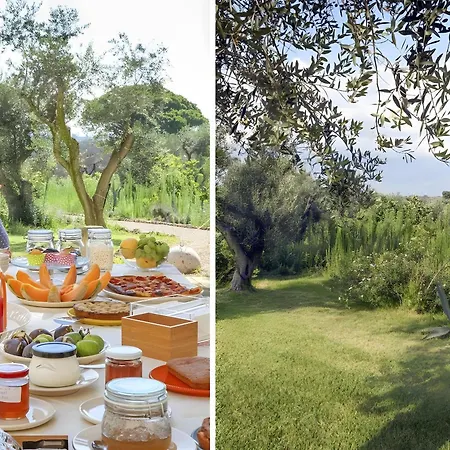 Masseria Ceratonia - *