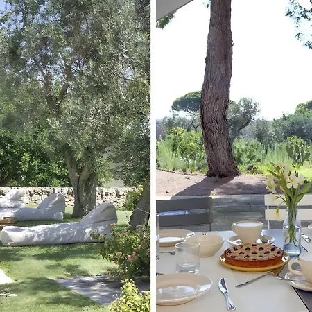 Masseria Ceratonia -
